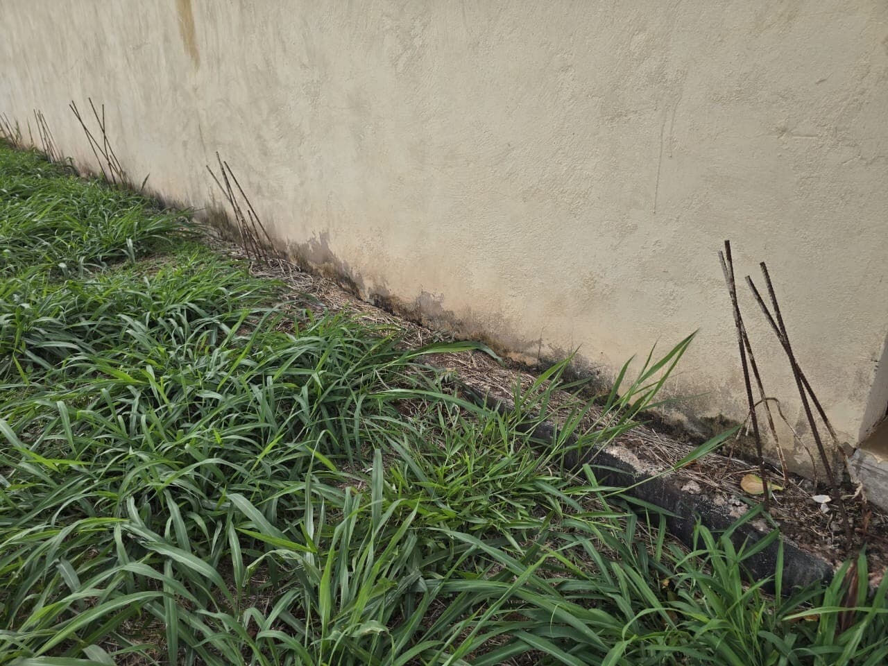 Terreno à venda no bairro Residencial Alto Do Castelo em Ribeirão Preto/SP - foto 4