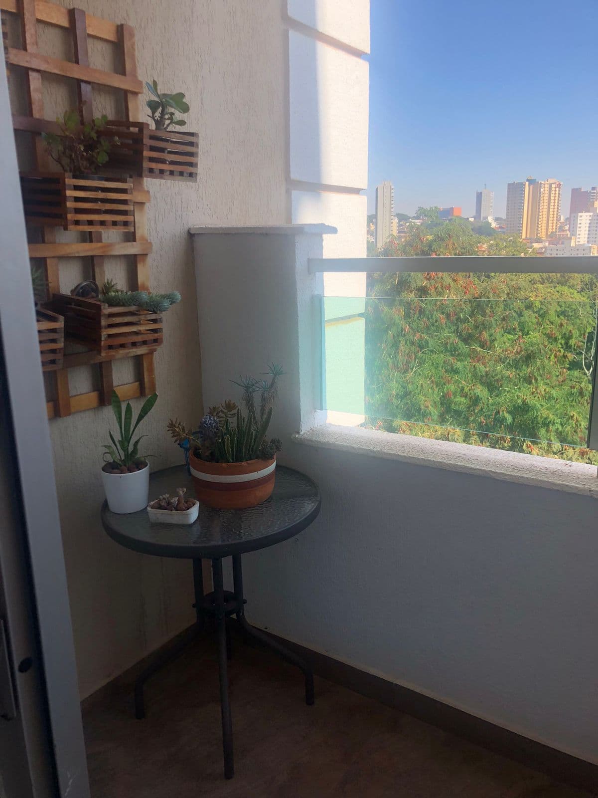 Apartamento à venda no bairro Jardim Palma Travassos em Ribeirão Preto/SP - foto 3