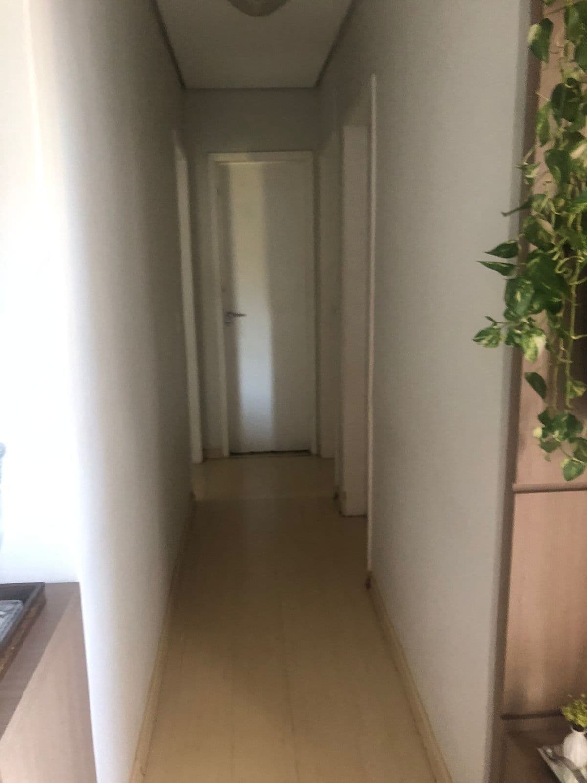 Apartamento à venda no bairro Jardim Palma Travassos em Ribeirão Preto/SP - foto 14